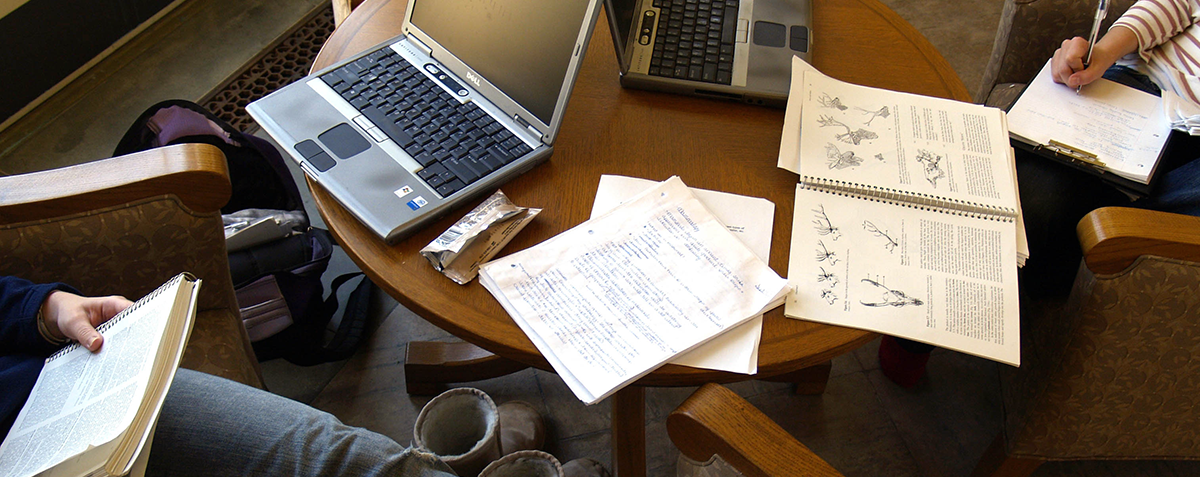 students studying at desk